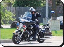 Motor Unit