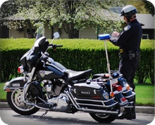 Motor Unit